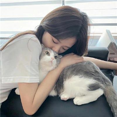 我给你一颗星